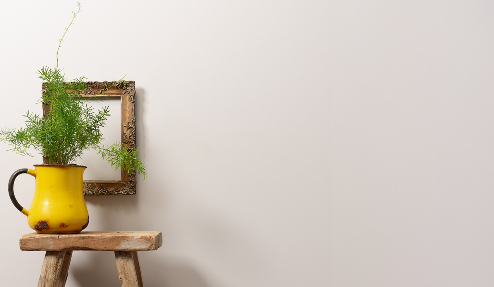 New Neutral: The Allure of Eggshell