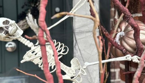 Get your craft on this Halloween with these spooky projects